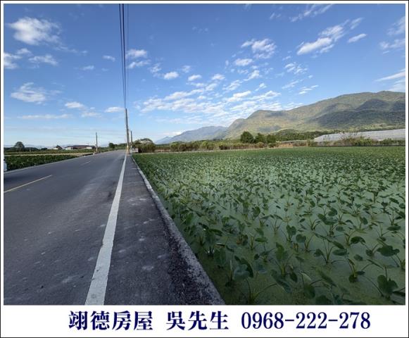 高樹農地-2