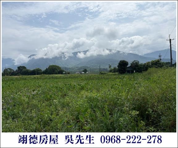 高樹農地-4