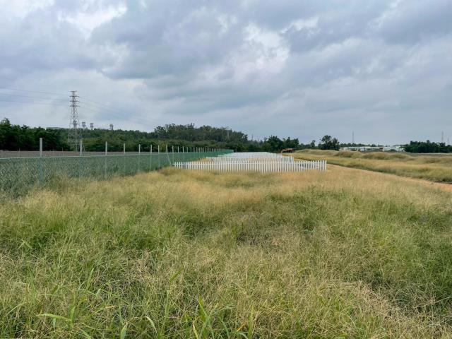 民雄農地-2