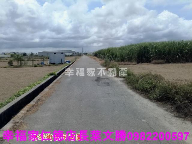 佳里農地-9