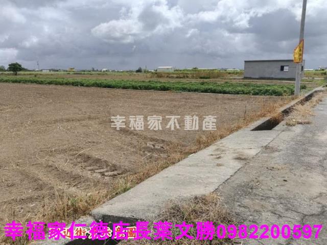 佳里農地-13