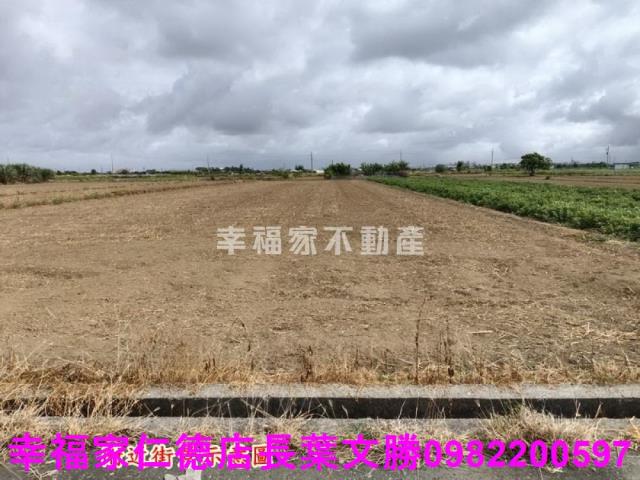佳里農地-23