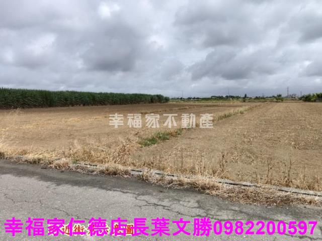 佳里農地-8