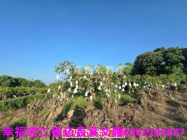 官田農地-27