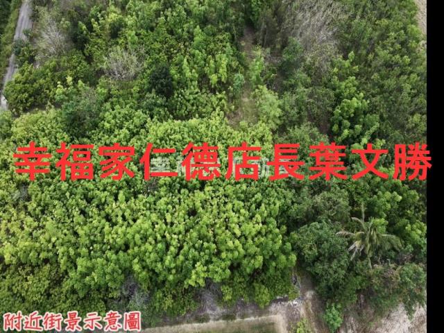 台南農地-15