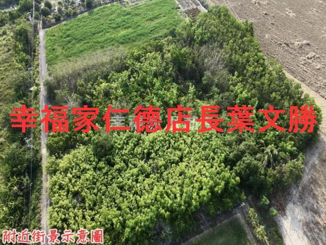 台南農地-3