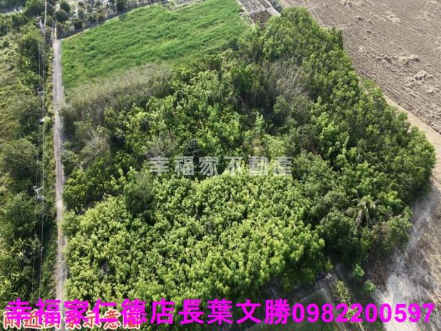 台南農地-12