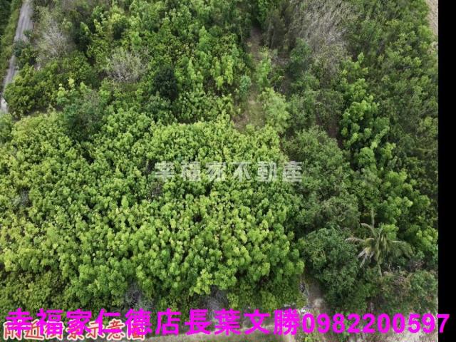 台南農地-2
