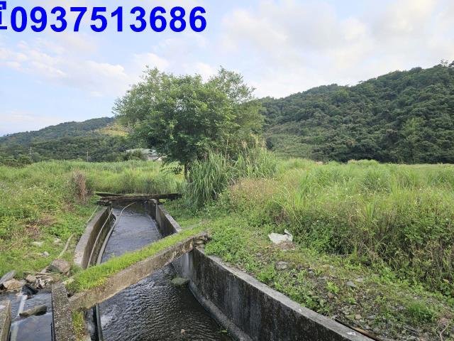 宜蘭農地-5