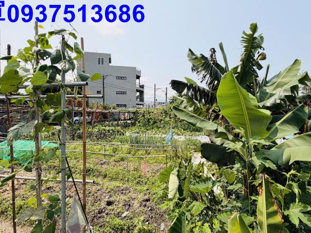 宜蘭農地-13