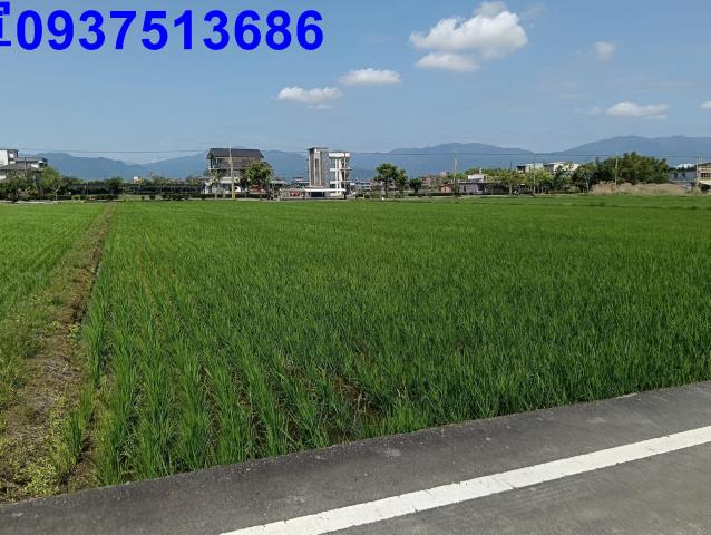 宜蘭農地-1
