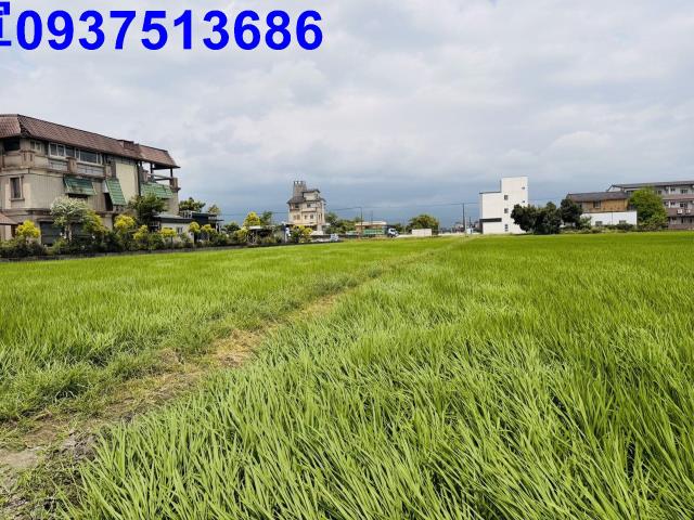 宜蘭農地-3