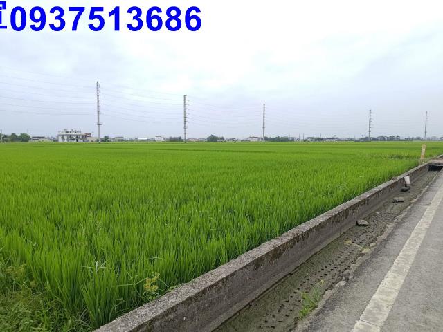 宜蘭農地-1