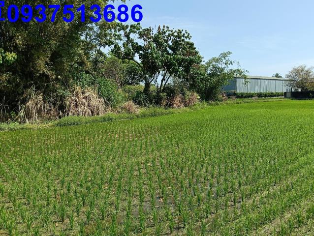 宜蘭農地-4