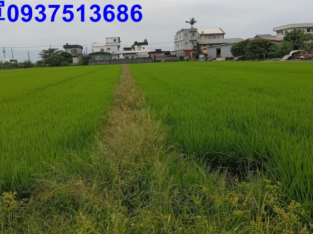 宜蘭農地-8