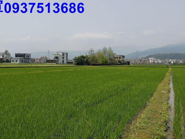 宜蘭礁溪農地-6