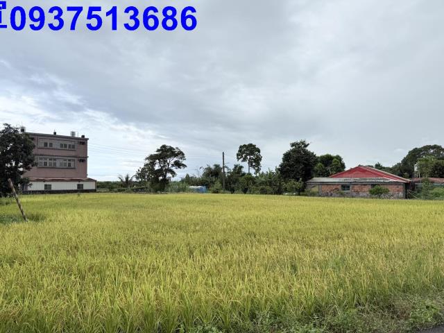 宜蘭頭城農地-1