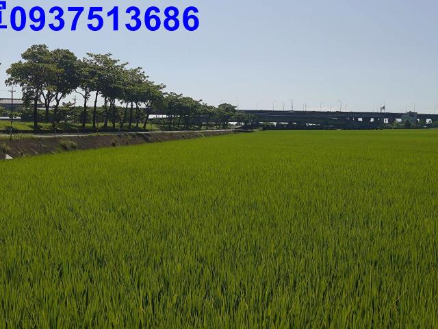 宜蘭壯圍農地-10