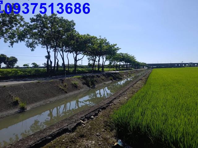 宜蘭壯圍農地-6
