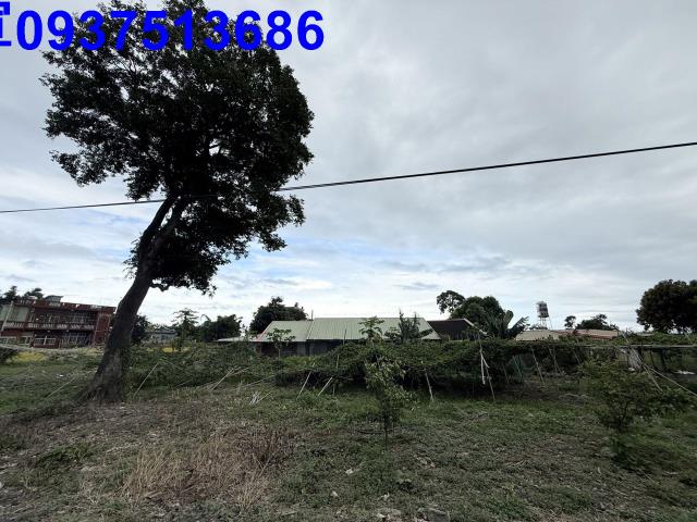 宜蘭頭城農地-3