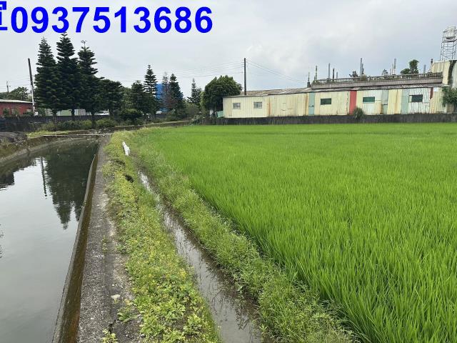 宜蘭宜蘭市農地-1