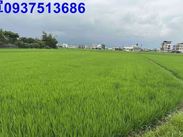 宜蘭宜蘭市農地-2