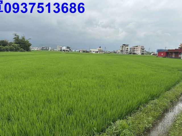 宜蘭宜蘭市農地-6