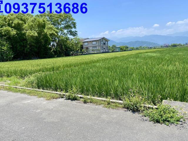 宜蘭員山農地-9