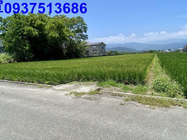 宜蘭員山農地-5