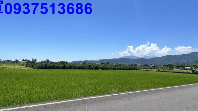 宜蘭三星農地-5