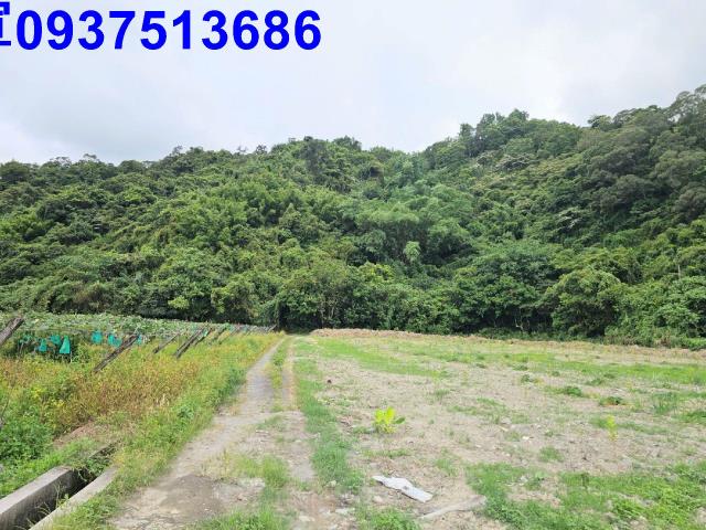 宜蘭員山農地-0