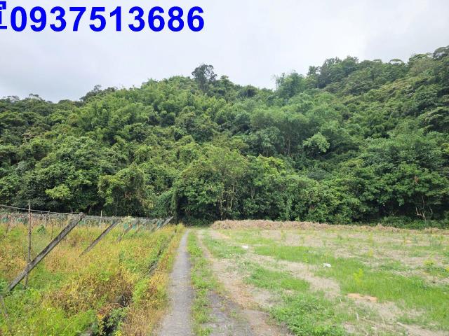 宜蘭員山農地-4