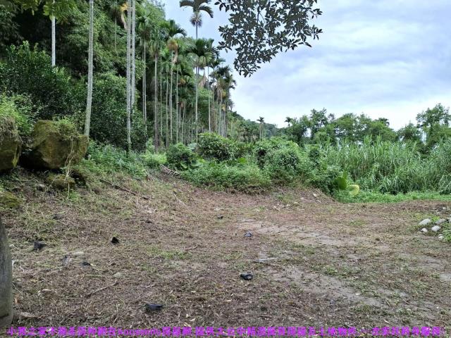 台中石岡農地-10