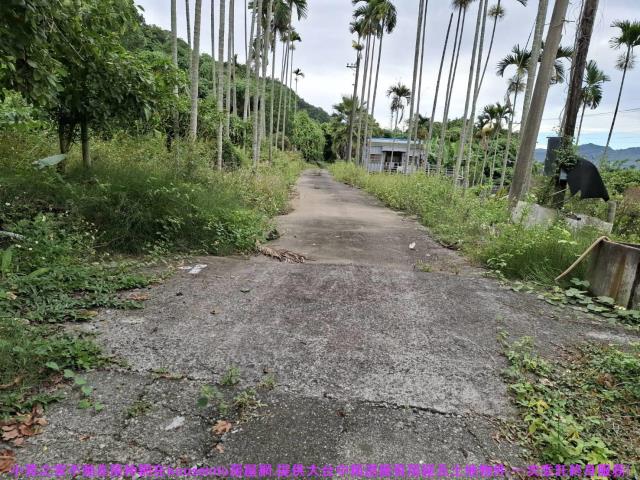 台中石岡農地-14