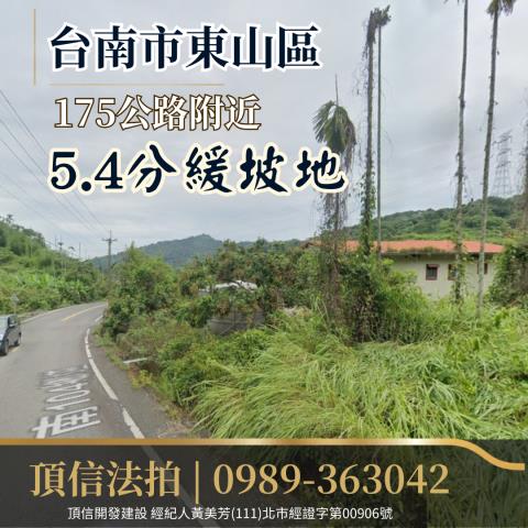 台南東山農地法拍-0
