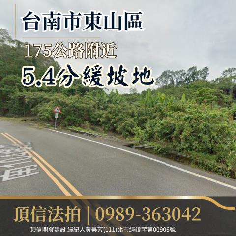 台南東山農地法拍-1