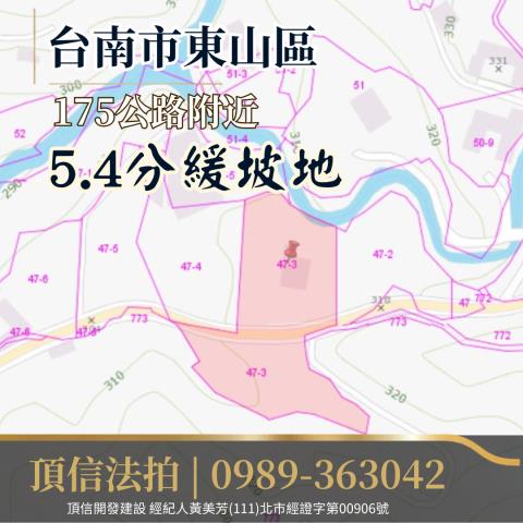 台南東山農地法拍-4