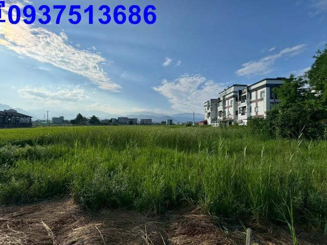 員山農地-4
