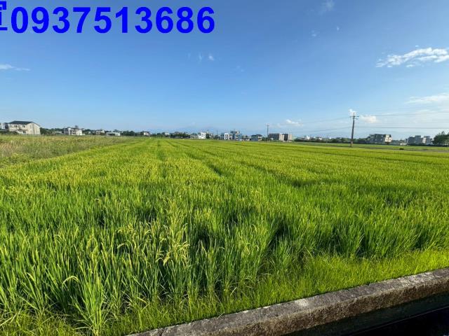 員山農地-2