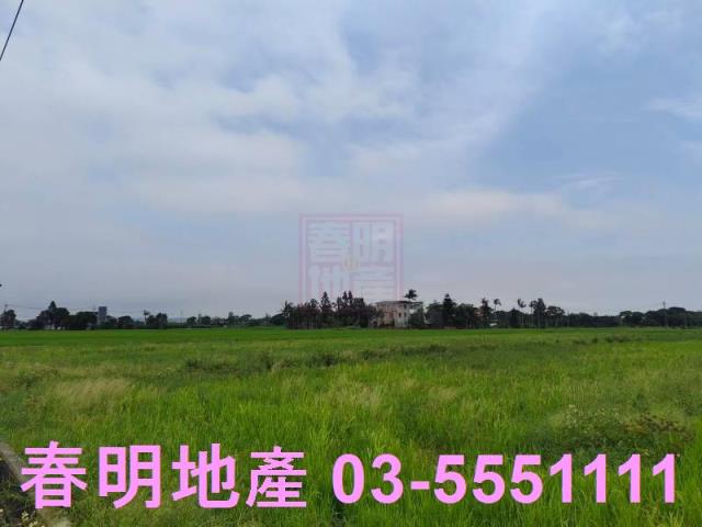 新豐農地-3
