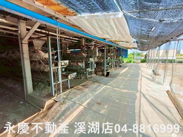 埔鹽農地-9