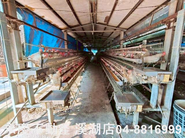 埔鹽農地-8
