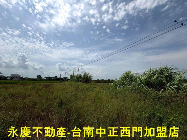 台南農地-3