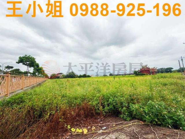 桃園中壢農地-1