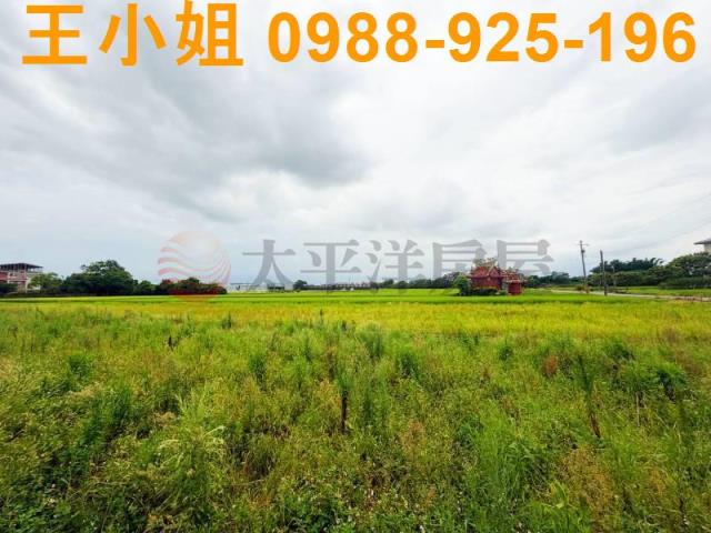 桃園中壢農地-2
