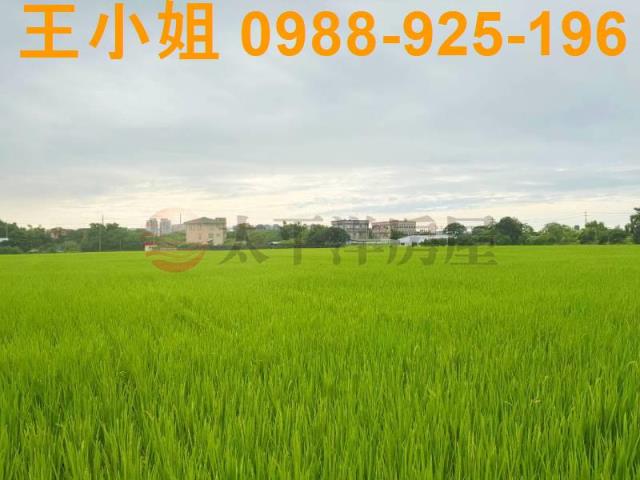 桃園中壢農地-4