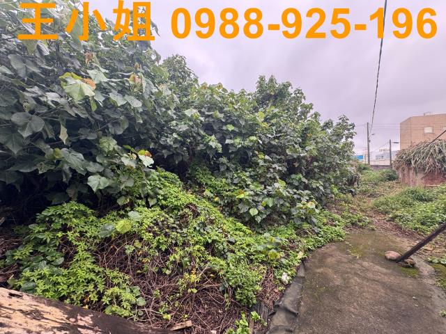 桃園蘆竹建地-7