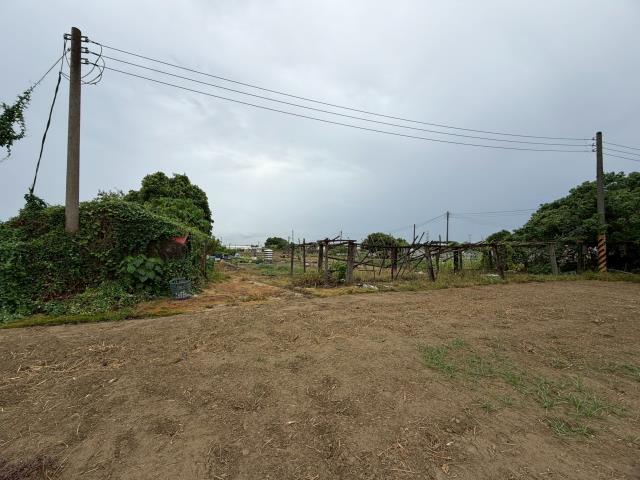 高雄路竹農地-2