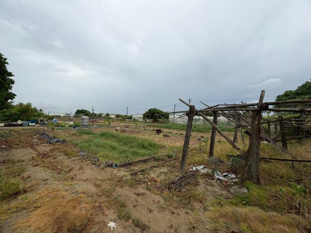 高雄路竹農地-6