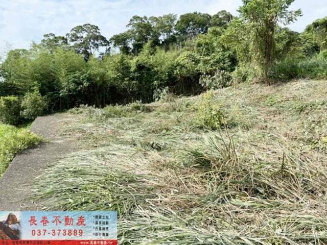 苗栗公館農地-1